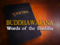 Meaning of Buddhawajana